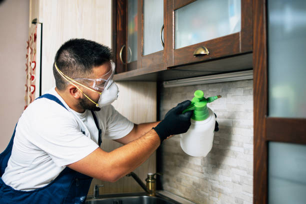 Best Best Pest Control Companies  in Grandy, NC
