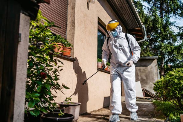 Best Pest Inspection Near Me  in Grandy, NC