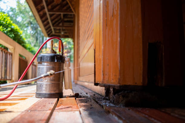 Best Pest Removal Services  in Grandy, NC