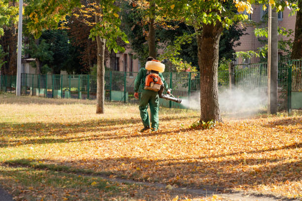 Best Affordable Pest Control Services  in Grandy, NC