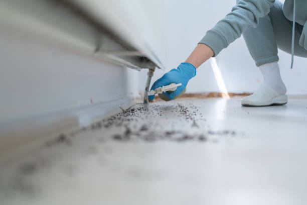 Grandy, NC Pest Control Company