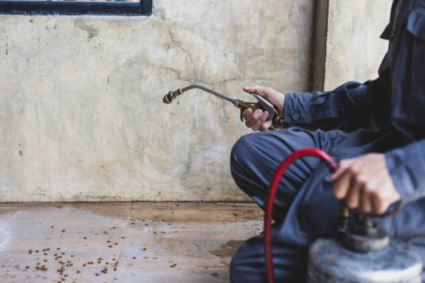 Best Commercial Pest Control Services  in Grandy, NC