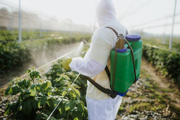 Best Local Pest Control Services  in Grandy, NC